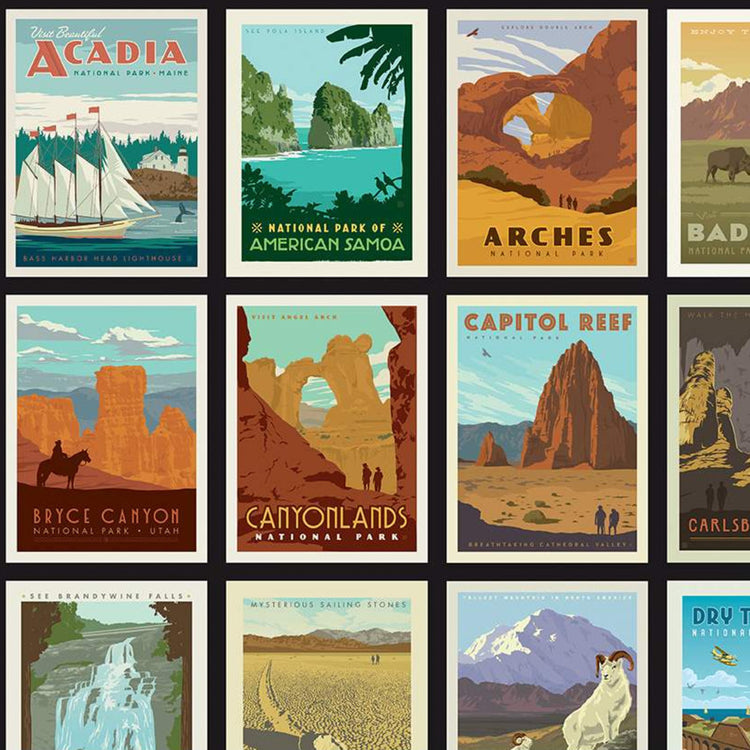 NATIONAL PARKS Posters black Panel 24"x43"
