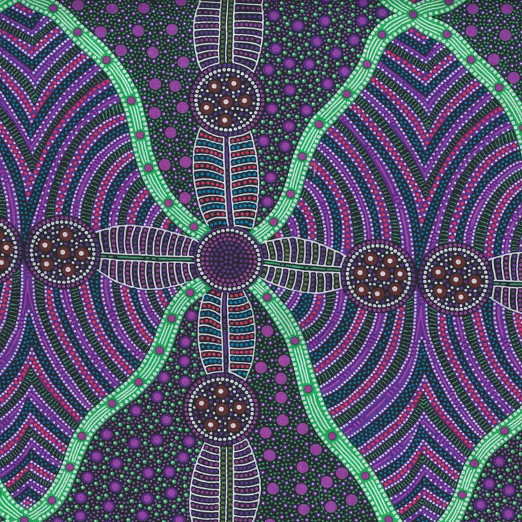 AUSTRALIAN Cross Seeds purple NEW
