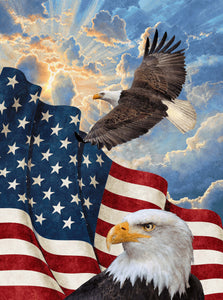 STARS & STRIPES 10TH ANNIVERSARY Stars and Stripes Panel blue multi 32"x43"