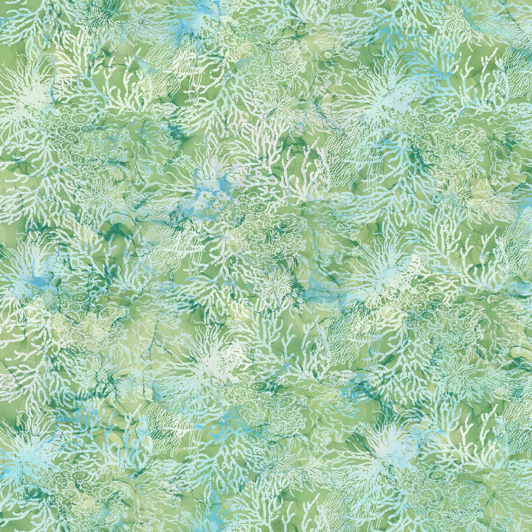 WHALE SONG Coral light green