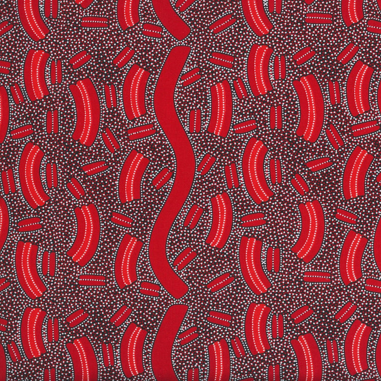 AUSTRALIAN Mulga Seeds dark red