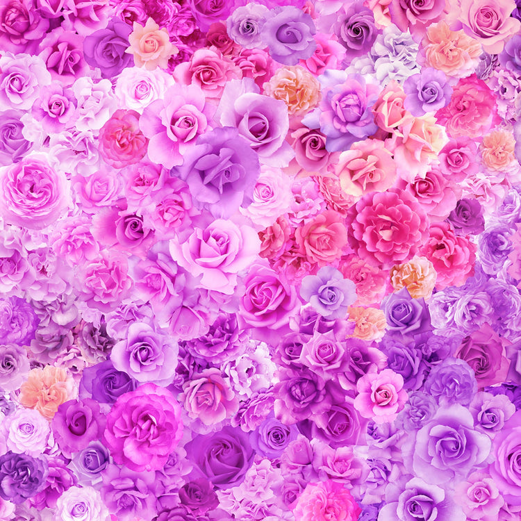 GRADIENTS PARFAIT Rainbow Roses purple passion - one yards