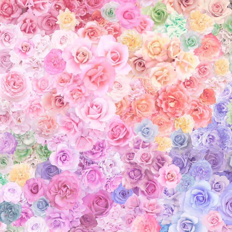GRADIENTS PARFAIT Rainbow Roses sherbert fantasy