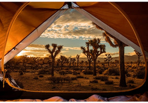 SLEEPING UNDER THE STARS Desert Landscape Panel 30"x43"