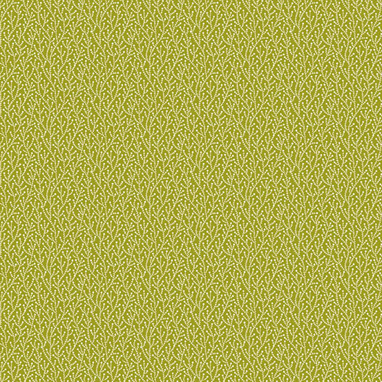 NOEL Wintergreen moss