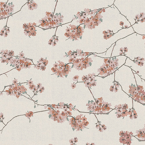 BOTANIST Blossoming daphne