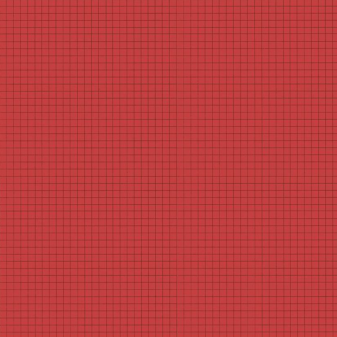 SEW JOURNAL Graph Paper red