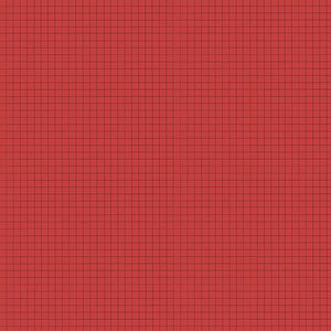 SEW JOURNAL Graph Paper red