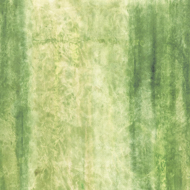 ZEN GARDEN Watercolors moss