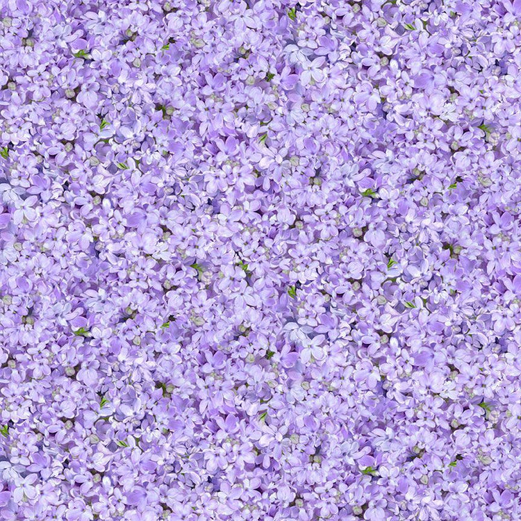 LOVE LETTER Lilac Florals lilac