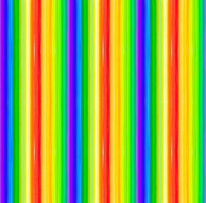 ANIMAL KINGDOM Rainbow Stripe multi color